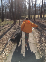 A vie from the rear of  large narrow black dog a person in an orange jacket and striped pants. They are walking on a paved trail, entering a forest with leafless trees. 