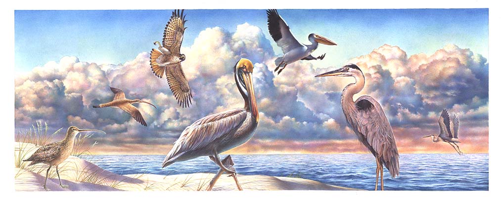 Laguna Madre and Padre Island bird habitats emphasizing their importance on the North American migration flyway
