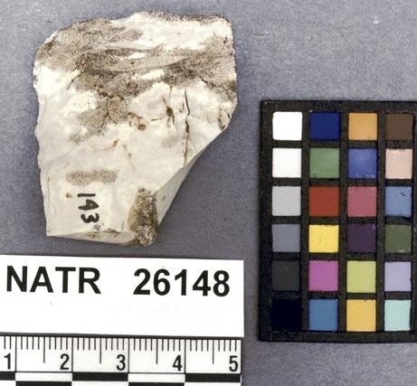 NATR   26148 -- Untyped projectile point