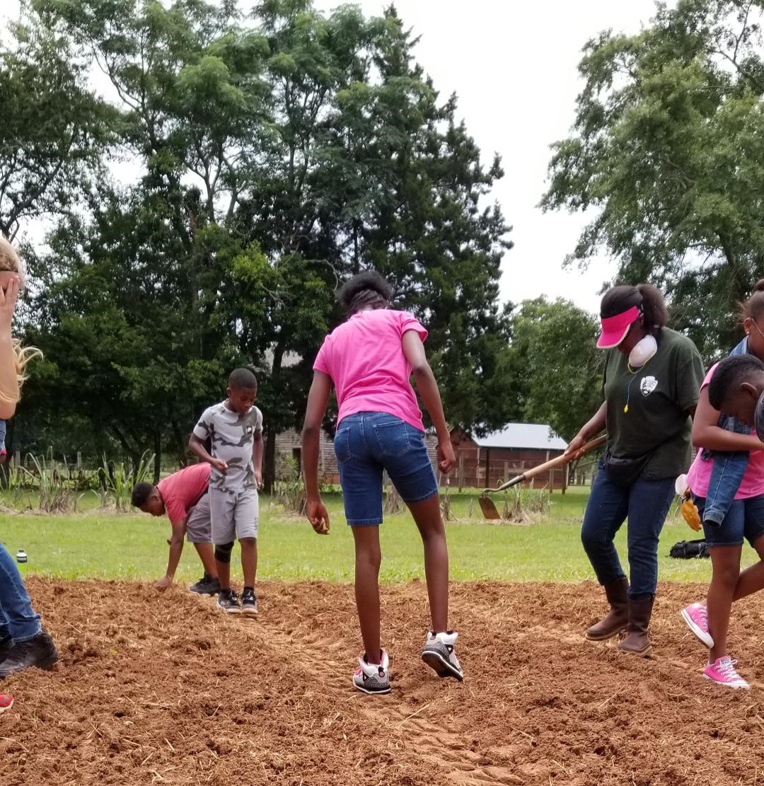 Young students plant seeds in the garden plot at the Jimmy Carter Boyhood Farm. 