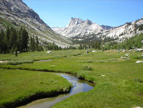 Ranger Meadow in July 2003, Sequoia and Kings Canyon National Park