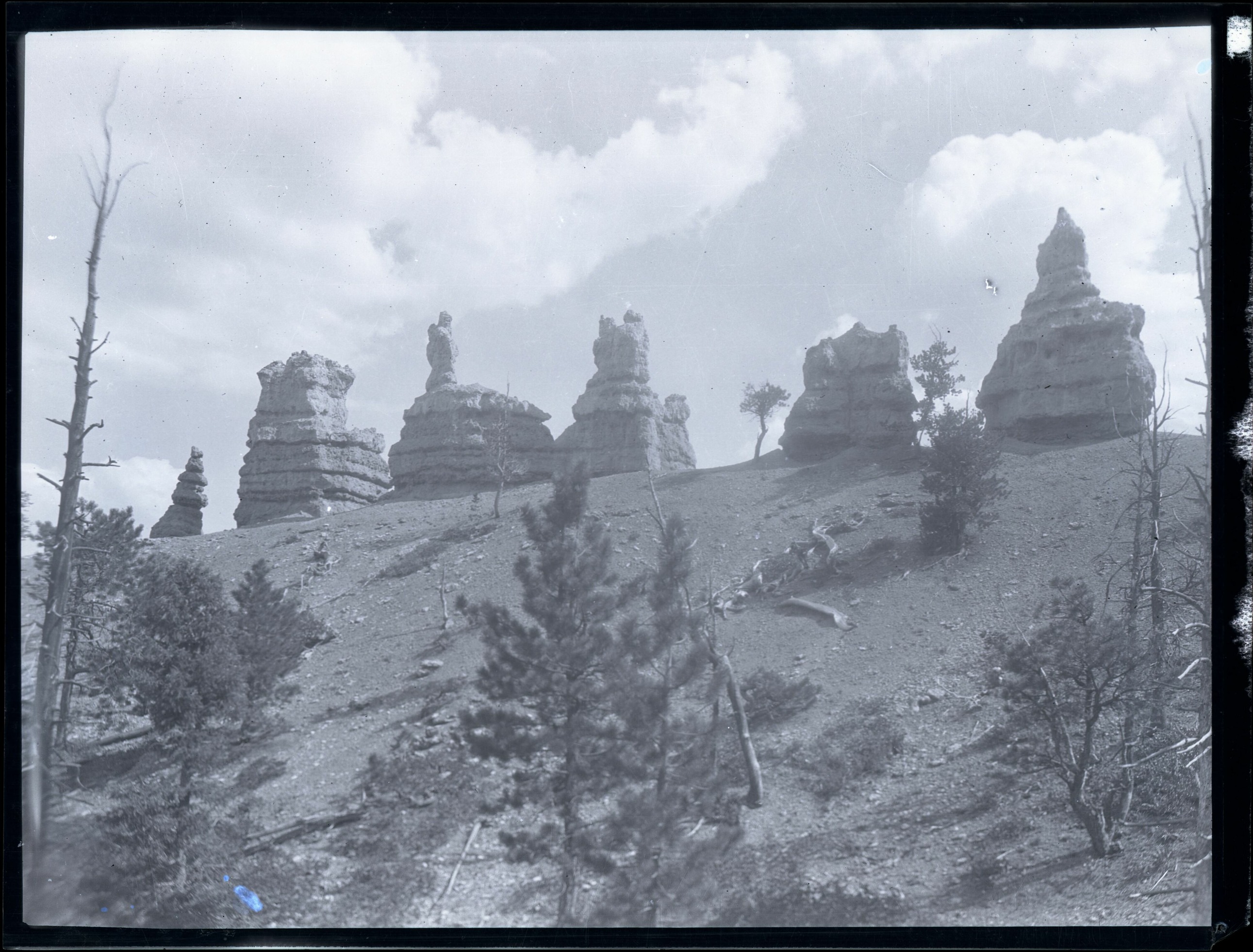 BRCA Museum and Archives Image