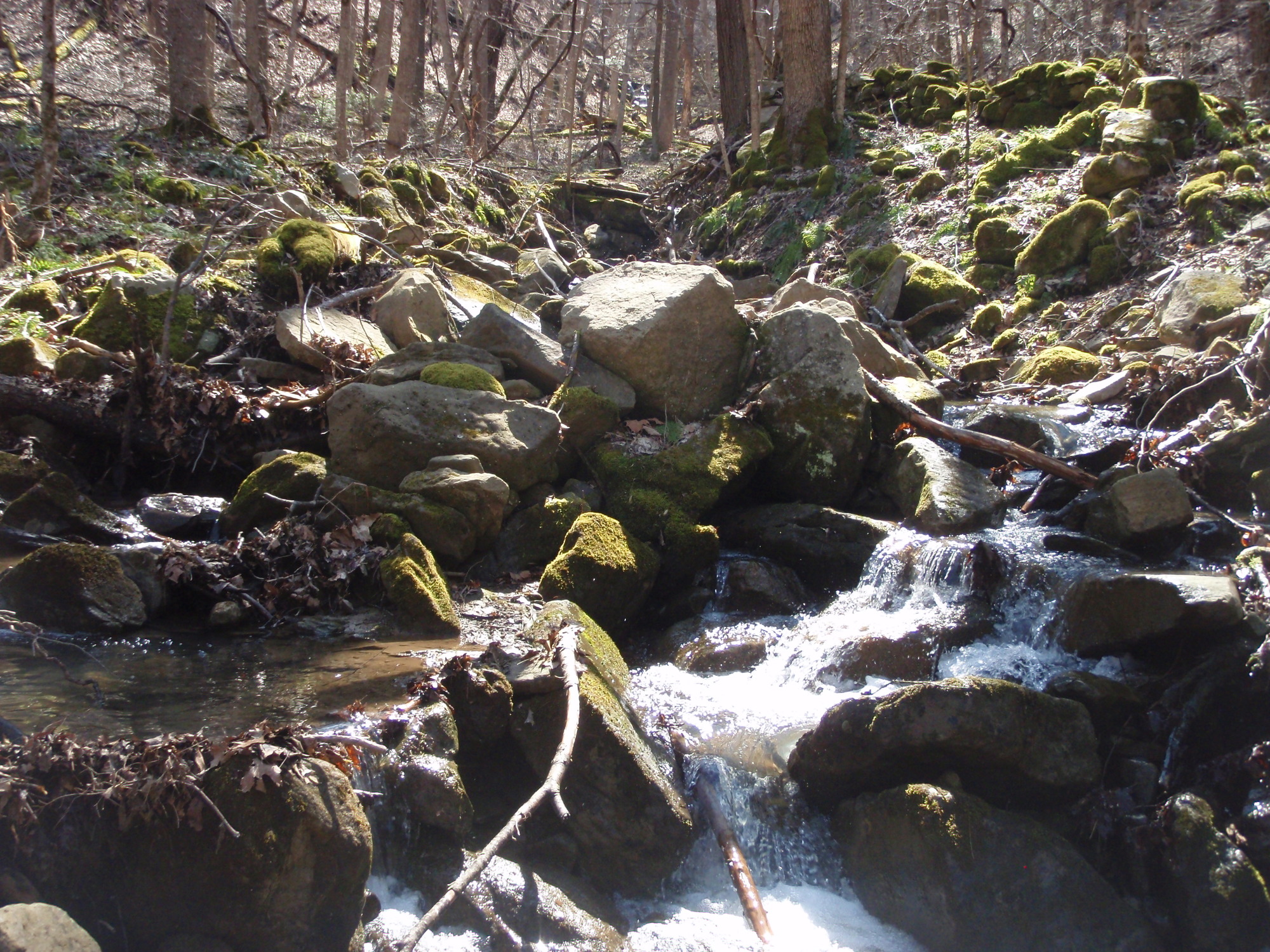 Site visit photo showing the upstream (UP) or downstream (DN) view of a wadeable stream reach taken during benthic macroinvertebrate monitoring at Bluestone National Scenic River.