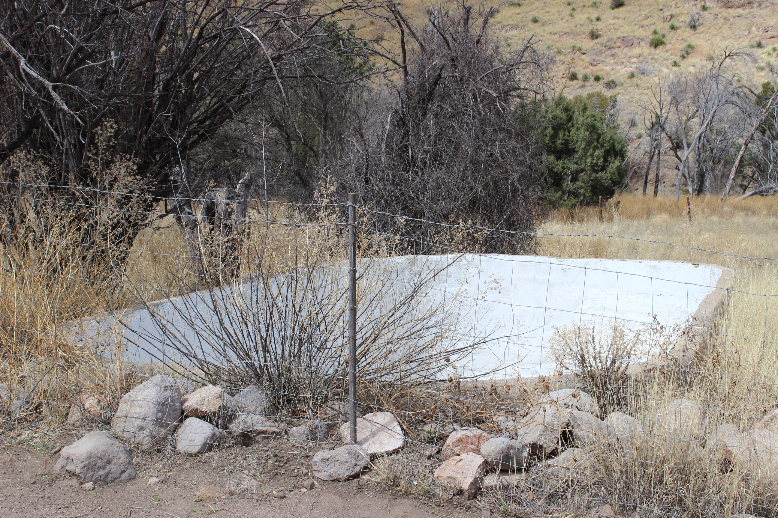 Empty white cement pool surrounded by grass and trees. 