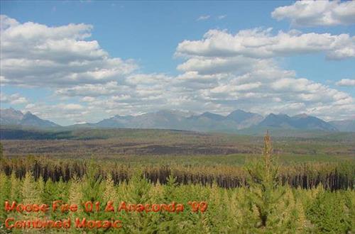 Moose Fire, Glacier National Park, Suppressed Using Minimum Impact Management Tactics in September 2001