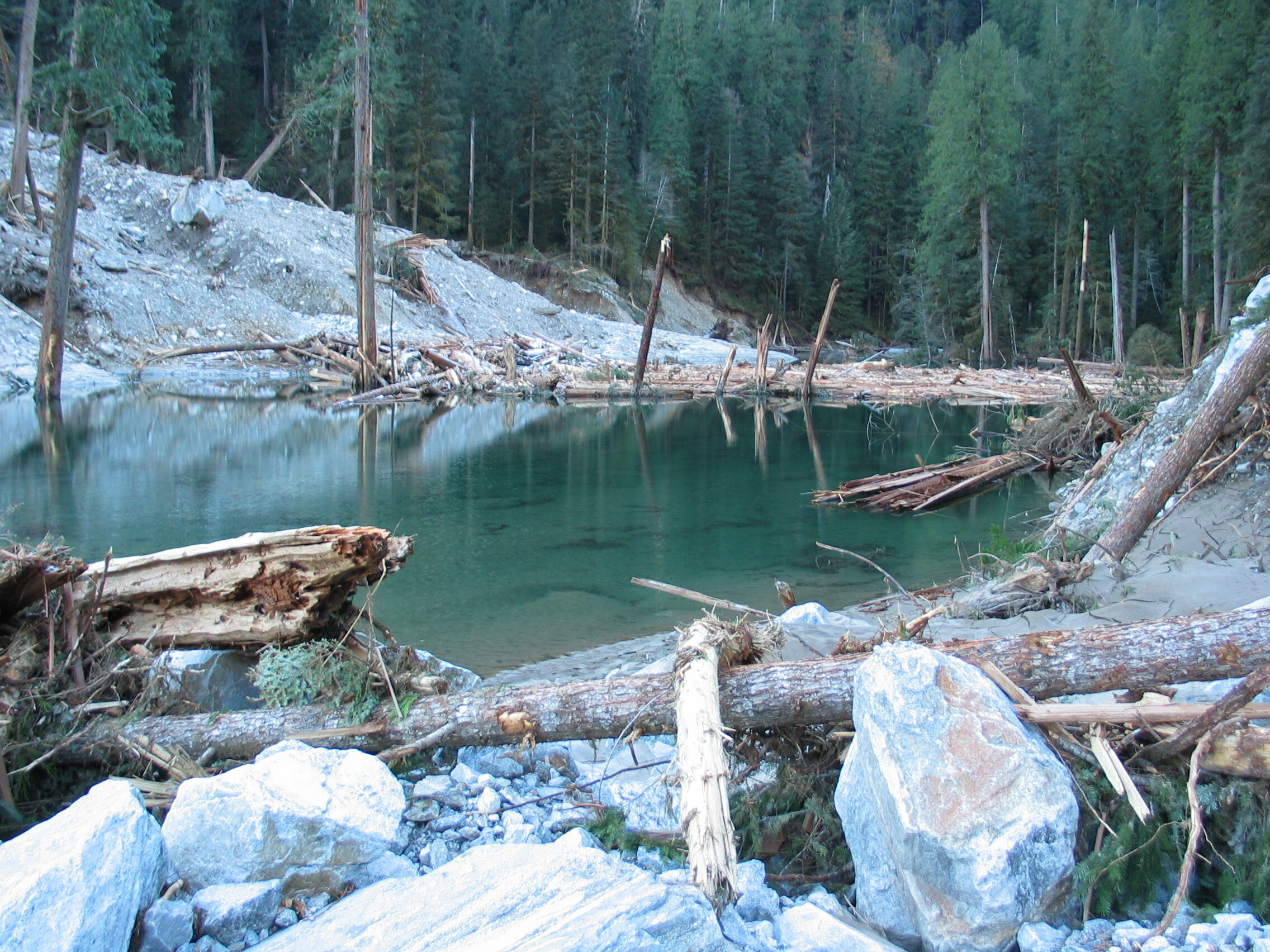 A pond of clear blue water in the rockslide debris dammed by rocks and a raft of tree trunks