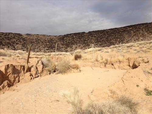 Retention Pond Erosion along PETR Boundary