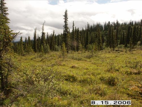 3 Small Mammal Survey in Denali National Park and Preserve in August 2006