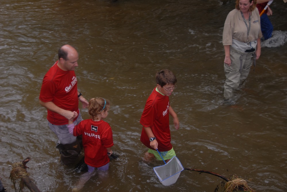 Volunteers help look for non-native crayfish in the streams.