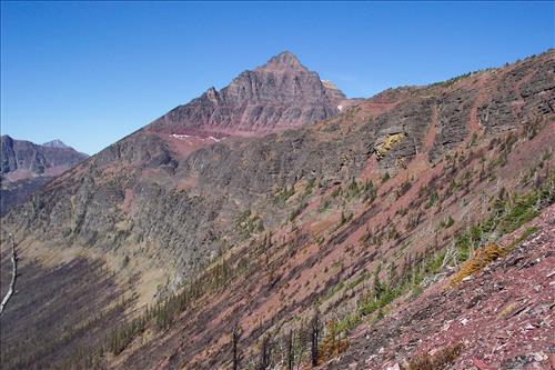 Fire damage assessment of Double Mountain Fire, August, 2003, Glacier National Park