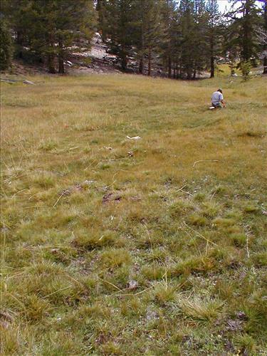 Sandy Meadow in Sept. 2003, Sequoia and Kings Canyon National Park