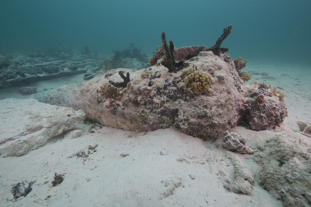 <em>HMS</em> Fowey Cannon
