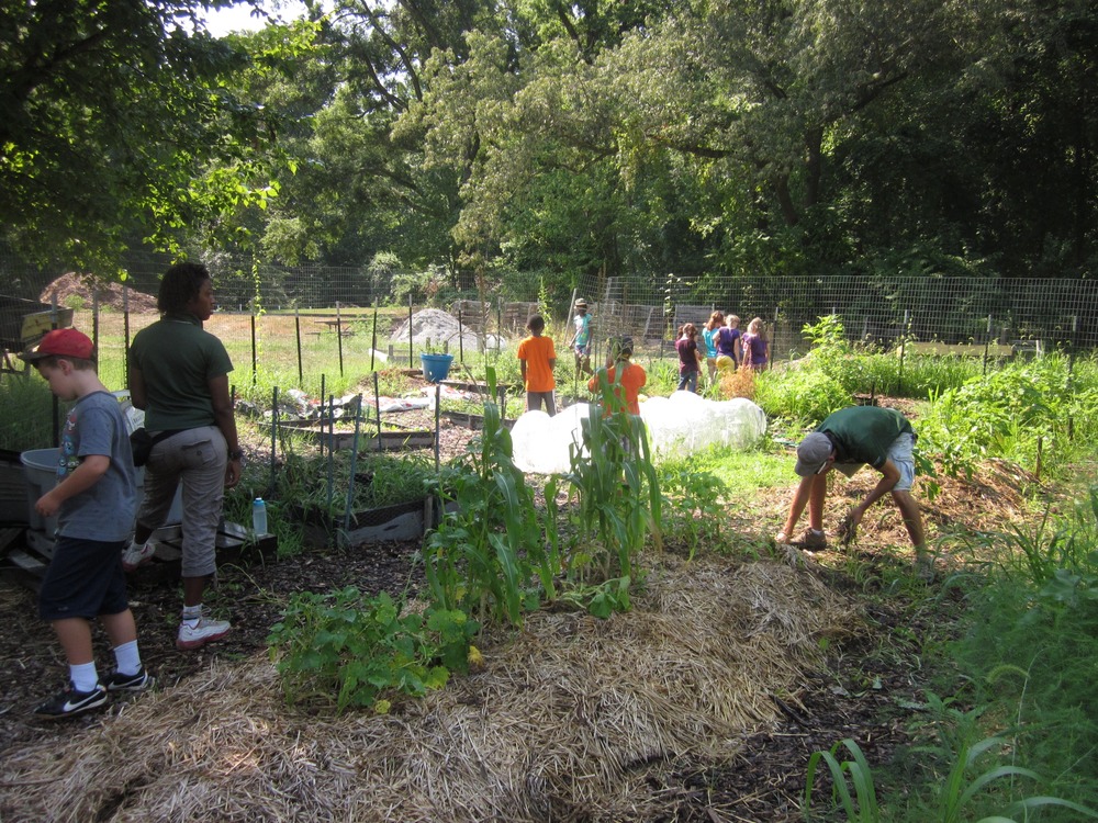 Living Classrooms helping out in the Fort Dupont Demonstration Garden