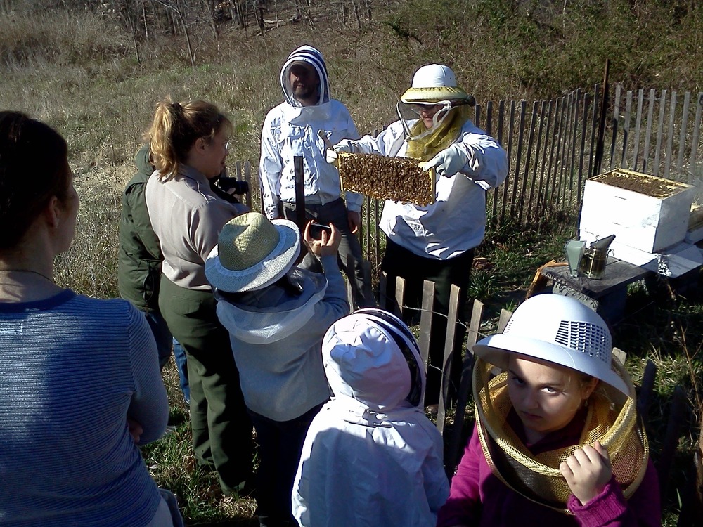 March 2012 pollinator program