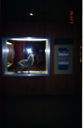 Color Photos of the old visitor center exhibits.