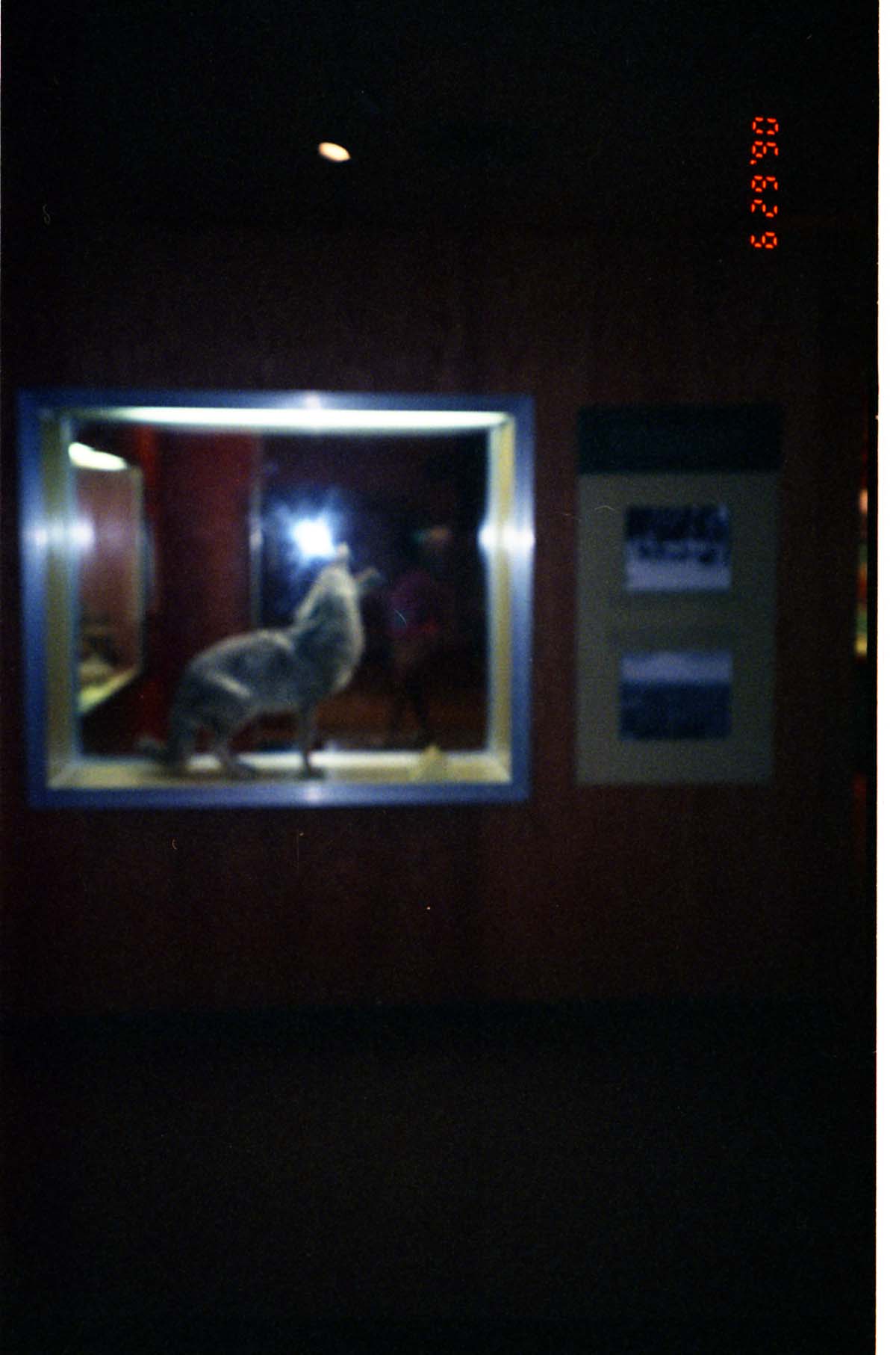 Color Photos of the old visitor center exhibits.