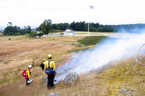 Prescribed Fire