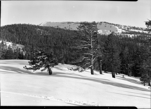 From ski touring trail