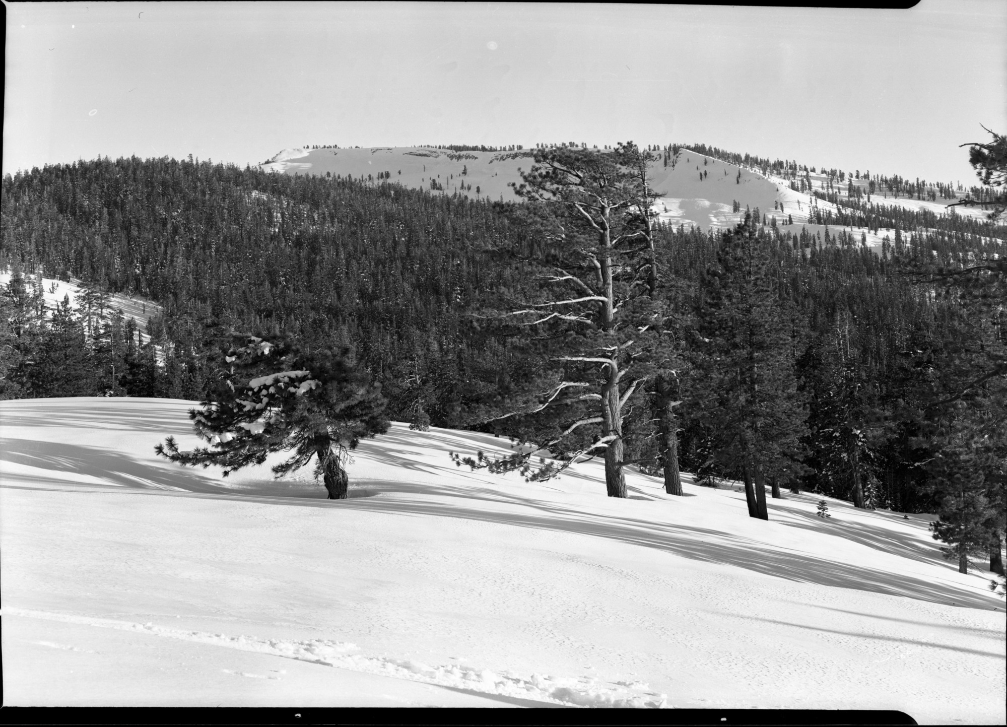 From ski touring trail