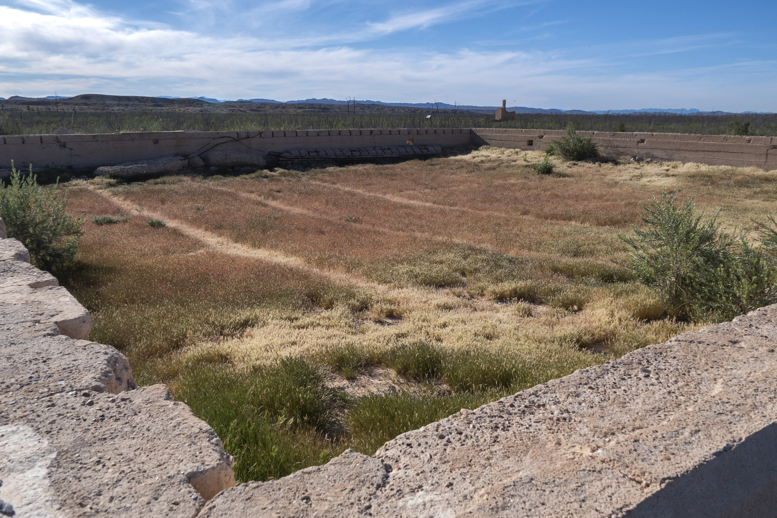 knee high foundation remains, orange grasses within