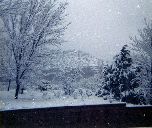 Color Photos of Zion Canyon.