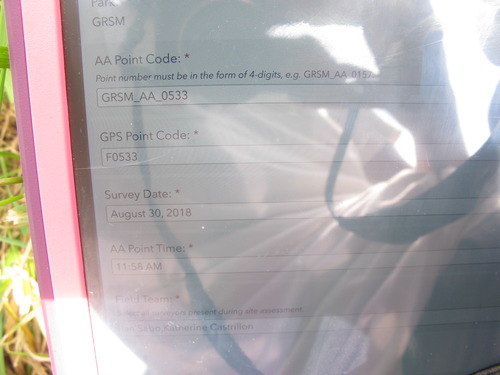 GRSM Accuracy Assessment. Plot Code: GRSM_AA_0533_1