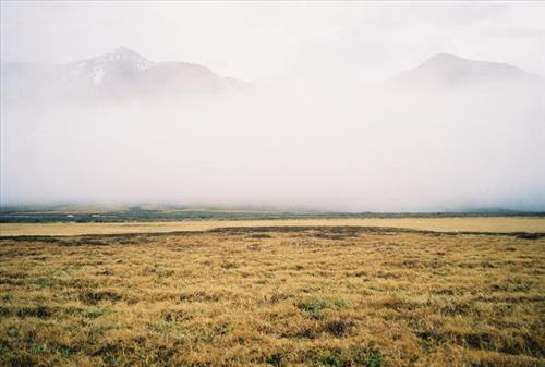 2 Gates of the Arctic National Park and Preserve Itkillik Birds June 2006