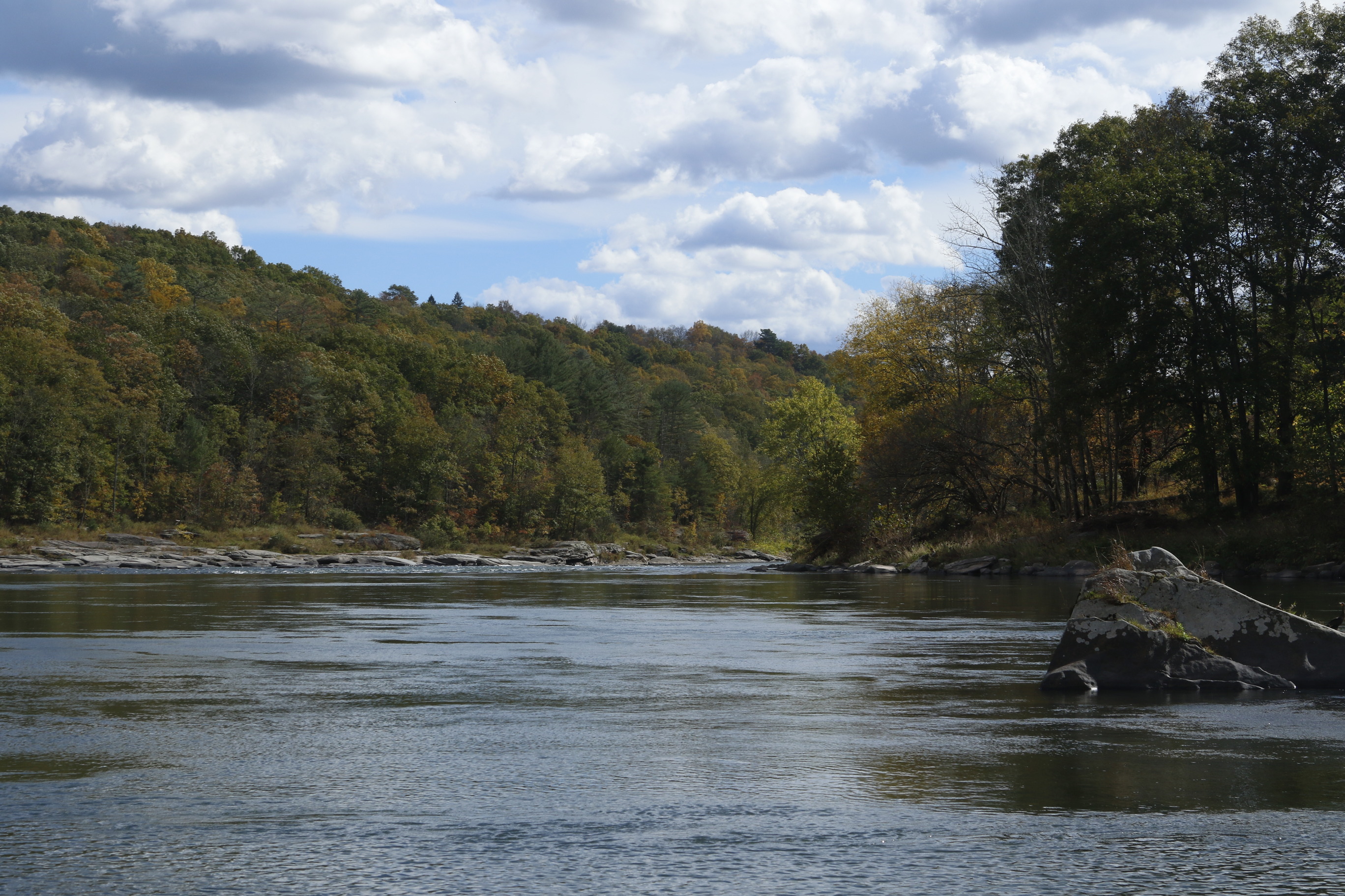 View of river, surrounded by forested rolling hills. Green leaves are just starting to turn orange and red with autumn. Blue sky is filled with puffy white clouds. A large rock sits in the water on the right.