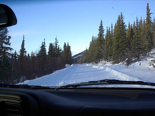 1 Gates of the Arctic National Park and Preserve Hares Survey 2004