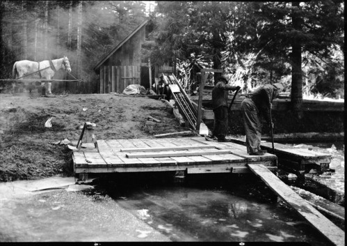 Cutting ice at Wawona. [L. Albert Gordon and R. Albert (Bert) Bruce].