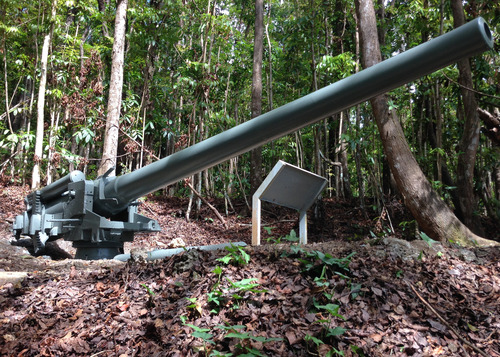 A large metal gun with a long barrel mounted on the ground in the middle of a forest. A wayfinding sign stands next to the gun.