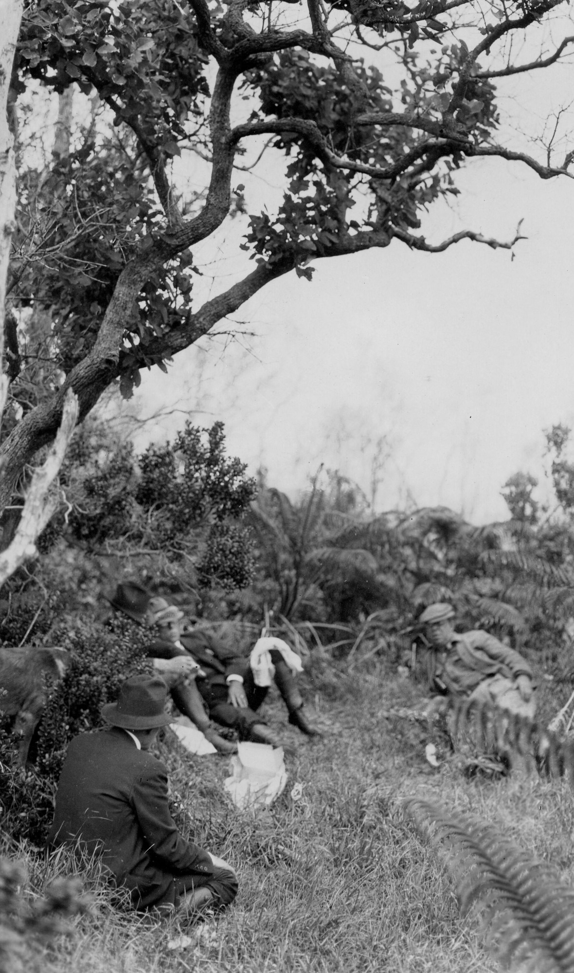 Black and white photograph of (from left to right) Ed Taylor, Arthur Brown, Wallace Farrington, and Louis Cramton sitting among lush vegetation. The four men form a loose semi-circle within a small clearing of grass. Taylor and Brown are not facing the camera. Farrington lays partially on his back, looking out past the camera with a piece of white linen on his left leg. Cramton is laying further apart from the rest on his right side, looking towards Taylor. There are a few white objects scattered in the grass in front of the men. Part of an animal is seen along the left border. A tall, leaning 'Ōhi'a lehua tree hangs over the group.