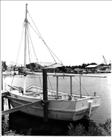 DUCHESS (Sponge Hooking Boat). 