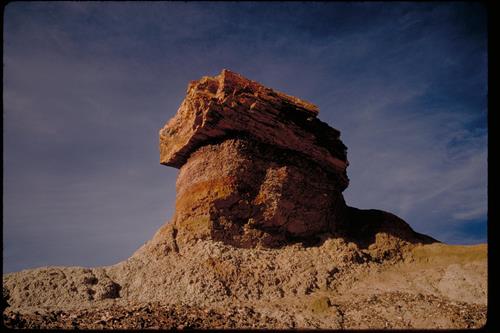 Petrified Wood at Petrified Forest National Park, Arizona