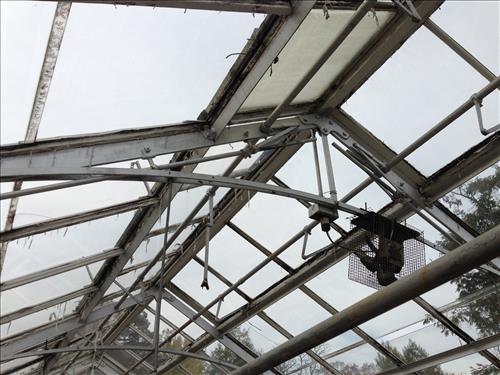 Chatham Greenhouses in Fredericksburg Virginia Nov 2014