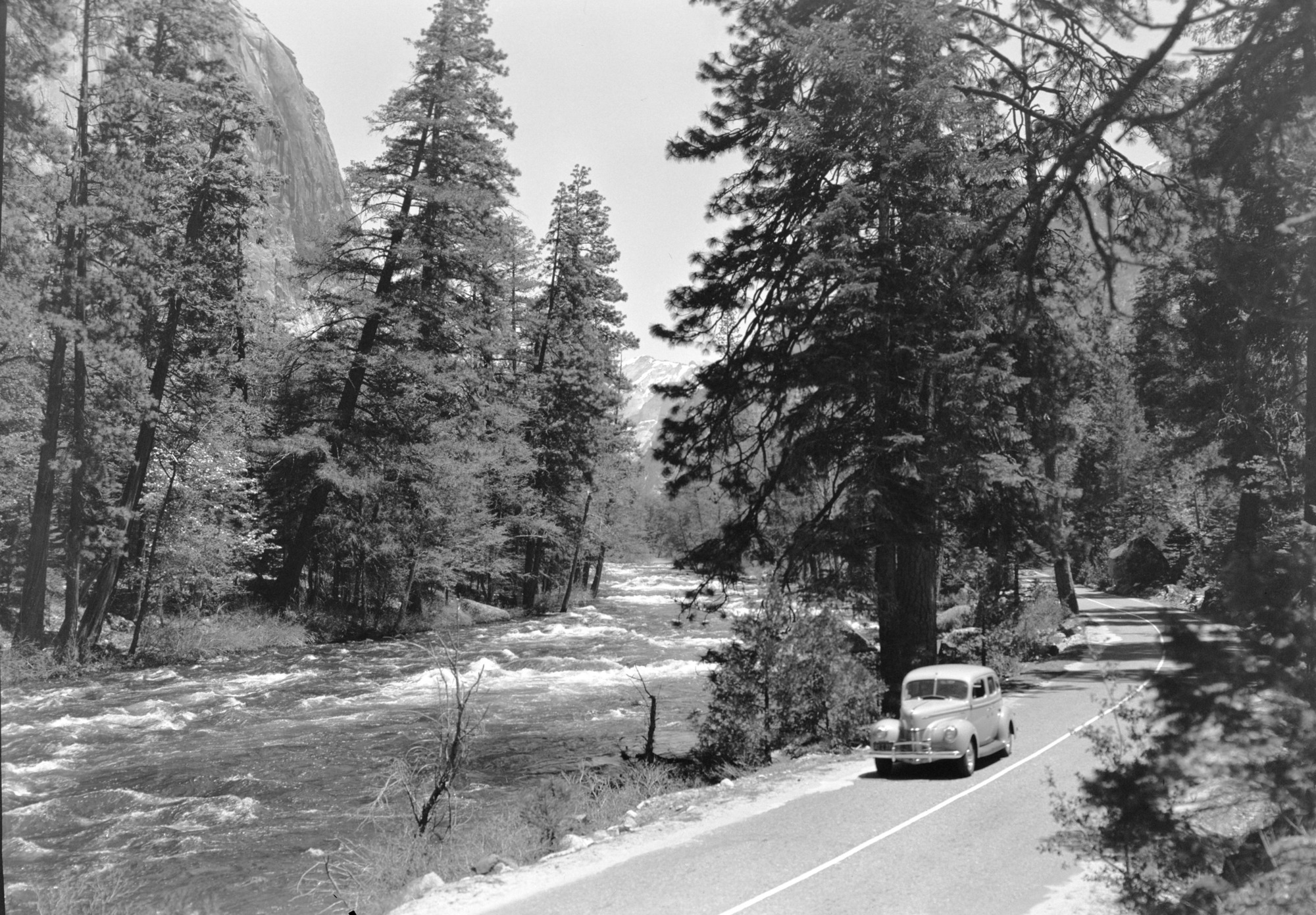 YOSE RL_01262