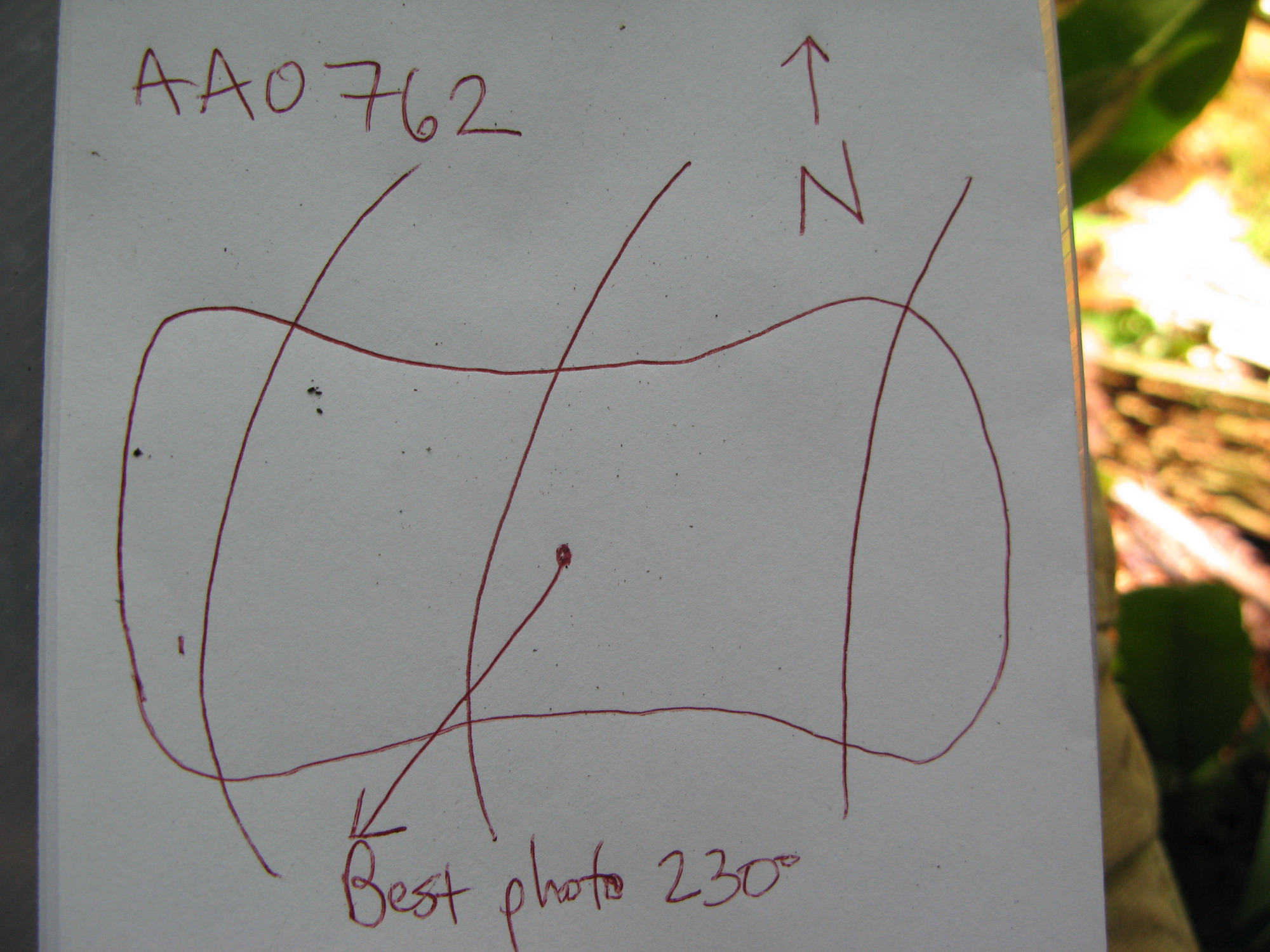 GRSM Accuracy Assessment. Plot Code: GRSM_AA_0762_7