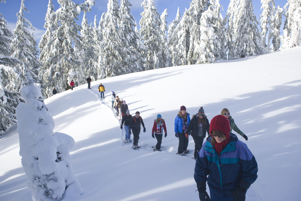 Visitors on snowshoes walk through the snowy forest