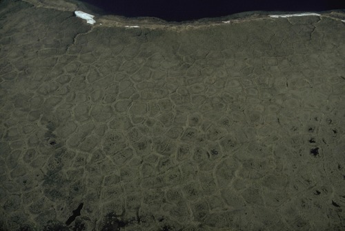 Permafrost Polygons