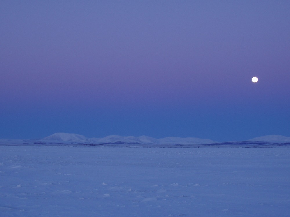 Winter Moonset