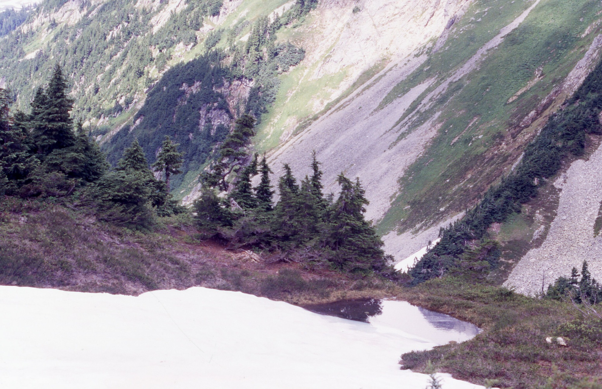 Snowmelt going into pond on a hill with trees. In the background are forested mountain slopes.