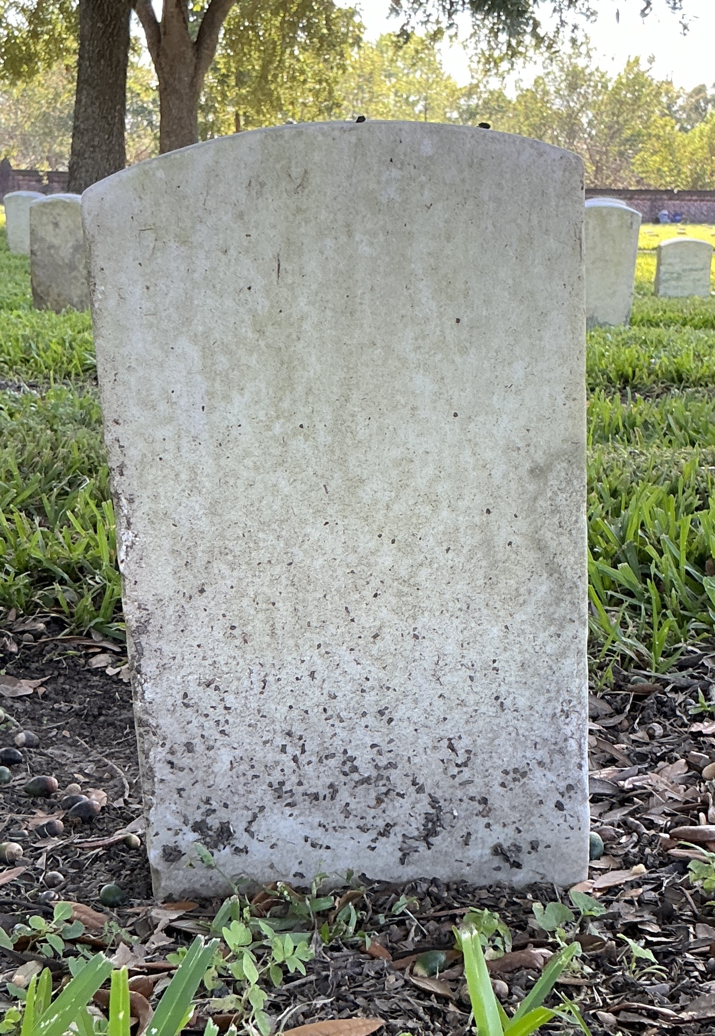 Back of historic upright marble headstone with recessed shield face.