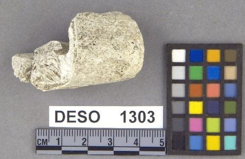 DESO    1303 -- Tool, Cutting-edged