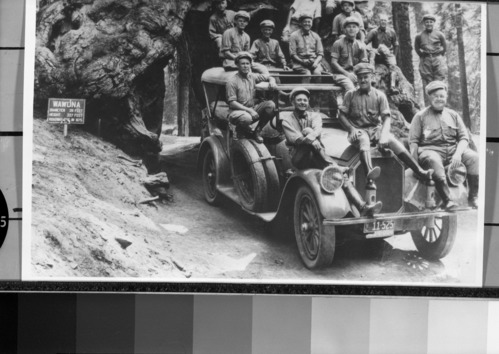 Copied from the Research Library postcard collection. On page 38 of "The Forest Domain of the Pierce-Arrow."