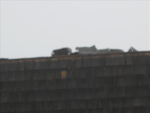 Building T-37 Highland Center