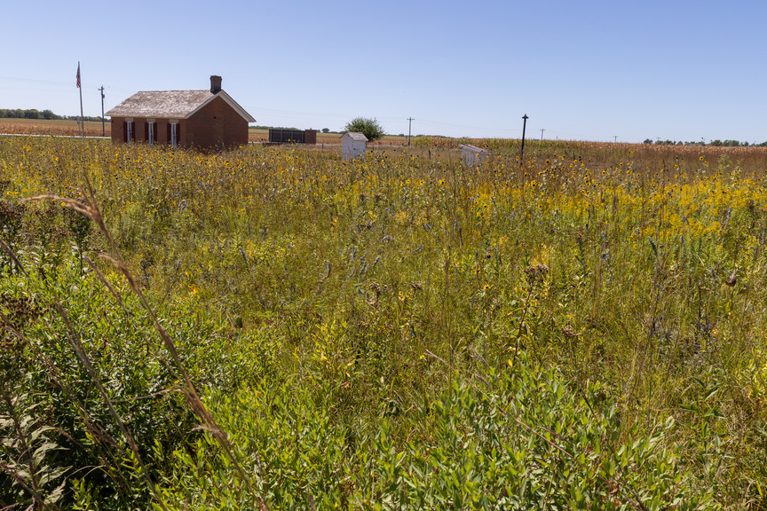 Yellow sunflowers appear to form a sea of plants upon which the Freeman school emerges. Flag is up on the school's flagpole.
