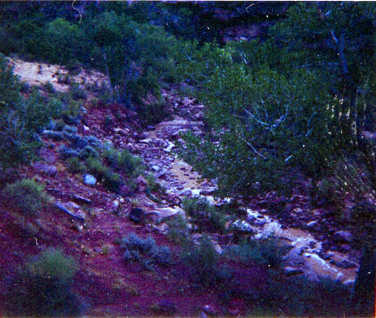 Color photos of flood damage from the flood of 1975.