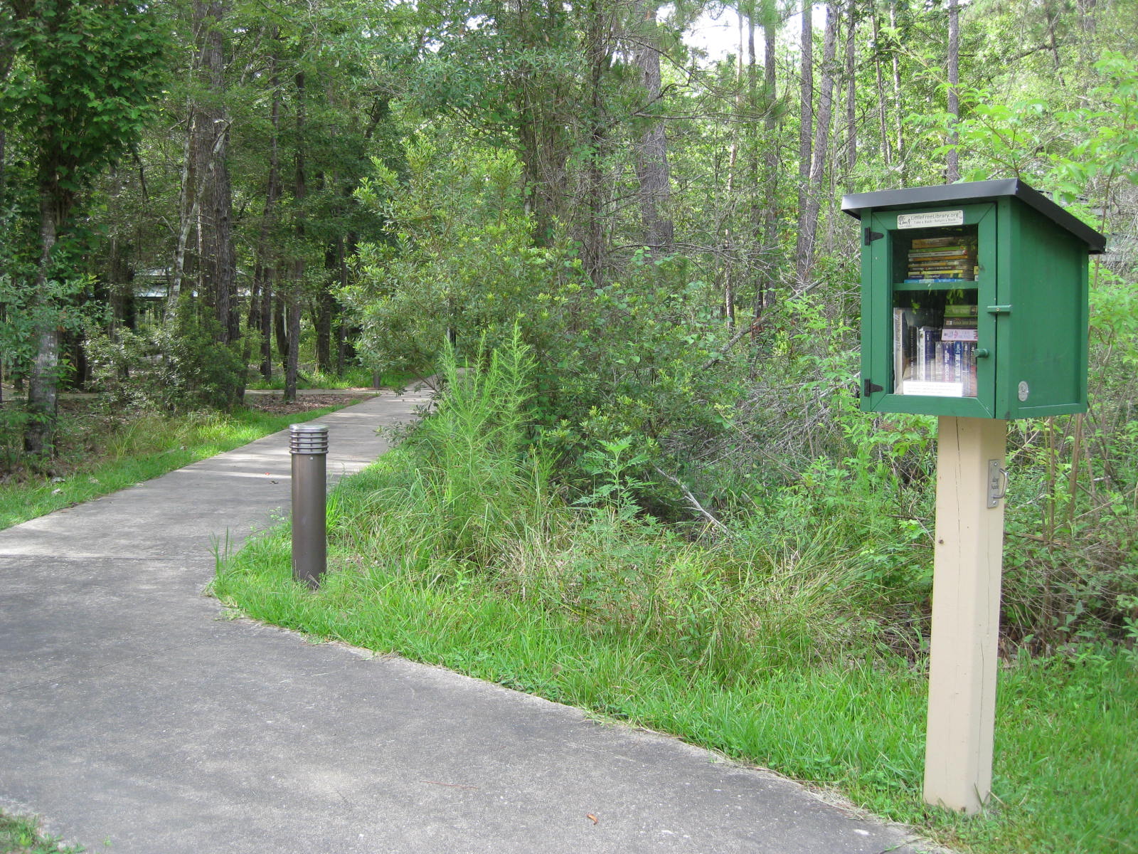 A green wooden box full of books along a trail in a wooded area