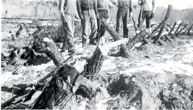 Erosion Control, Willow Plantings at Spider Jetty in Wash