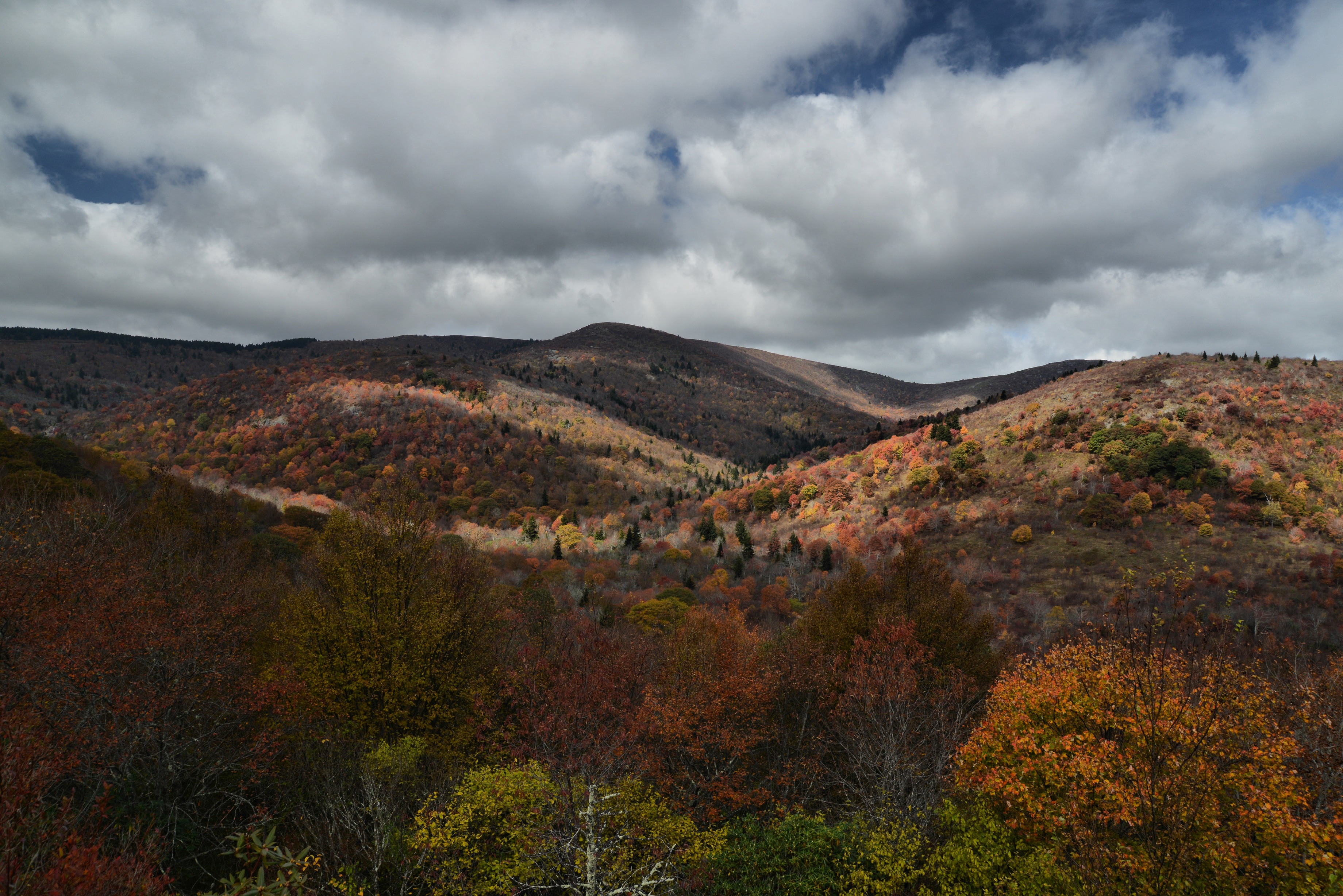 Graveyard Fields with fall foliage